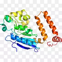 人体珠宝有机体线条剪贴画.珠宝-空若网 人体珠宝有机体线条剪贴画.珠宝-空若网
