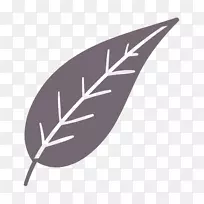 ֱ��Ҷ����-������