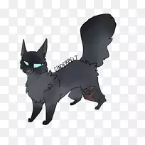 胡须狗繁殖猫鼻子猫-空若网 胡须狗繁殖猫鼻子猫-空若网