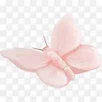 蝴蝶水彩画-空若网 蝴蝶水彩画-空若网