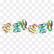 ƽ��������������-������