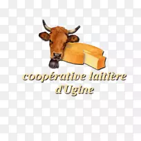 牛鼻牌字型合作社-空若网 牛鼻牌字型合作社-空若网