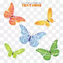 蝴蝶蜂昆虫-蝴蝶-空若网 蝴蝶蜂昆虫-蝴蝶-空若网