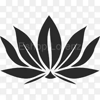 花瓣叶开花植物-空若网 花瓣叶开花植物-空若网