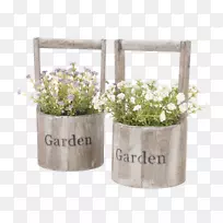 花盆薰衣草-空若网 花盆薰衣草-空若网