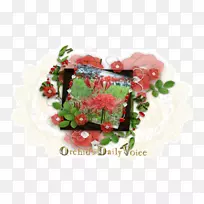 花卉设计切花花束-空若网 花卉设计切花花束-空若网