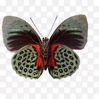 ºûµûÀ¥³æ-ºûµû-¿ÕÈôÍø ºûµûÀ¥³æ-ºûµû-¿ÕÈôÍø