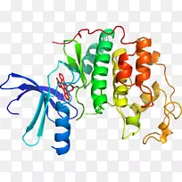 蔬菜环素依赖性激酶剪贴画.蔬菜-空若网 蔬菜环素依赖性激酶剪贴画.蔬菜-空若网