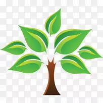 生命之树摄影-树-空若网 生命之树摄影-树-空若网