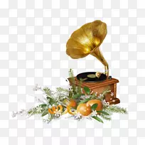 乐器摄影剪辑艺术.乐器-空若网 乐器摄影剪辑艺术.乐器-空若网