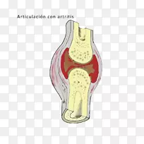 膝字体设计-空若网 膝字体设计-空若网