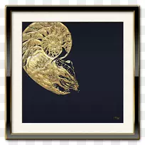 动物-狮子鱼-空若网 动物-狮子鱼-空若网