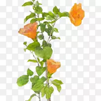 Ë®²Ê»»¨»Ë®²Ê»»¨»Ü-¿ÕÈôÍø Ë®²Ê»»¨»Ë®²Ê»»¨»Ü-¿ÕÈôÍø