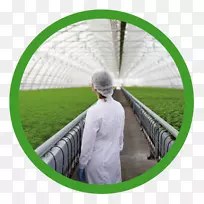 农业科学存量摄影研究生物技术-空若网 农业科学存量摄影研究生物技术-空若网