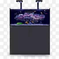 Ë®×å¹ÝÕÕÃ÷ÓªÑø½¸Ë®×å¹ÝÅä·½-º£½¸-¿ÕÈôÍø Ë®×å¹ÝÕÕÃ÷ÓªÑø½¸Ë®×å¹ÝÅä·½-º£½¸-¿ÕÈôÍø