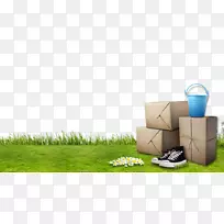 ��ƺ����-ֽ��ݱ�������-������