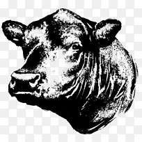 ����˹ţ�찲��˹ţСţ����������-������