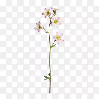 ˮ�ʻ�ˮ�ʻ�-������