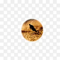 AZ���������ˮĤ.nl-ˮ��-������