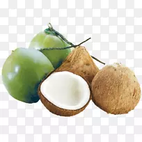 椰子水暹罗斗鱼仓鼠-椰子-空若网 椰子水暹罗斗鱼仓鼠-椰子-空若网