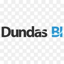 ��ҵ����Dundas���ݿ��ӻ��Ǳ���-ҵ��-������