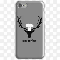 澳大利亚牛狗奇怪的未来桌面壁纸模板胃口-空若网 澳大利亚牛狗奇怪的未来桌面壁纸模板胃口-空若网