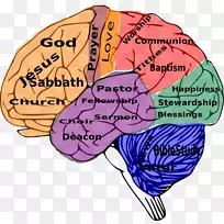 人脑神经科学剪贴画-空若网 人脑神经科学剪贴画-空若网