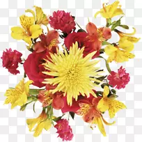 �л��ջ�-������