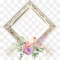 »¨»·Ë®²Ê»-»¨-¿ÕÈôÍø »¨»·Ë®²Ê»-»¨-¿ÕÈôÍø