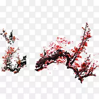 河内农历新年除夕奥格里斯墨梅-空若网 河内农历新年除夕奥格里斯墨梅-空若网