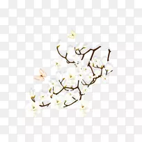 梅花-梅花-空若网 梅花-梅花-空若网