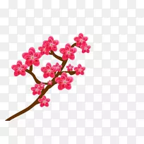 梅花-梅花载体-空若网 梅花-梅花载体-空若网