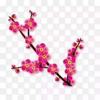 ����-÷��-������