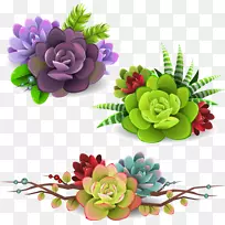 ����ֲ��-ˮ�ʻ�-������