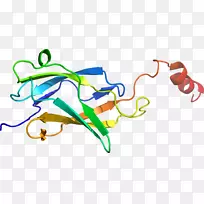 ƽ����Ƽ�����.���-������