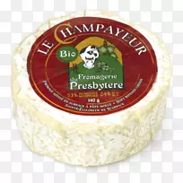 ��������«������������-������