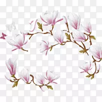 玉兰爱玉兰花装饰载体-空若网 玉兰爱玉兰花装饰载体-空若网