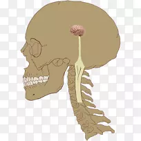 ������ϵͳ����������-������