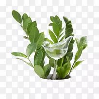 浇水罐玻璃工厂灯泡花盆玻璃-空若网 浇水罐玻璃工厂灯泡花盆玻璃-空若网