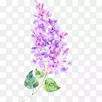 �϶���������������.����-������