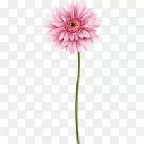 �����ջ�ˮ�ʻ�����ˮ�ʻ�-������