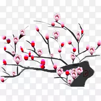 梅花-梅花-空若网 梅花-梅花-空若网