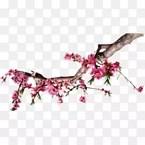 ����������-�-������