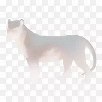 狮子狗大猫陆生动物-狮子-空若网 狮子狗大猫陆生动物-狮子-空若网