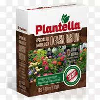 施肥针叶树柑橘农业植物-空若网 施肥针叶树柑橘农业植物-空若网