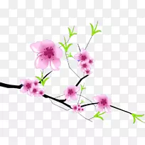 ÷��-÷��-������