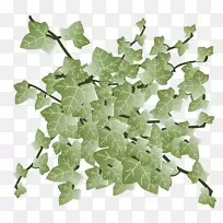 ����Ҷ-������