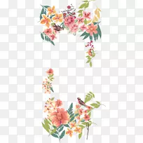 花卉花卉设计手绘花卉边框-空若网 花卉花卉设计手绘花卉边框-空若网