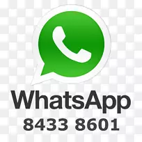 WhatsApp Android计算机图标-WhatsApp-空若网 WhatsApp Android计算机图标-WhatsApp-空若网