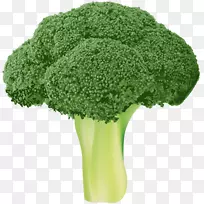 西兰花蔬菜墙纸-花椰菜透明PNG剪贴画图像-空若网 西兰花蔬菜墙纸-花椰菜透明PNG剪贴画图像-空若网